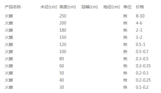 火棘