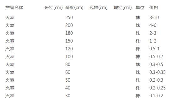 火棘苗价格表