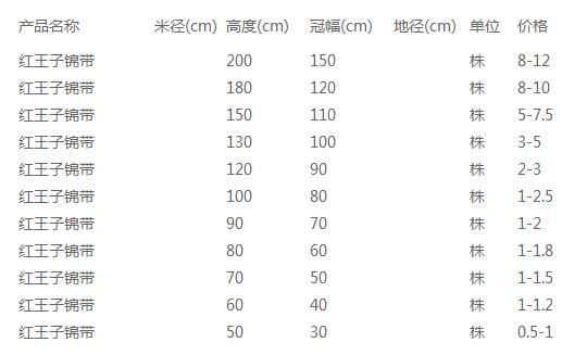 红王子锦带