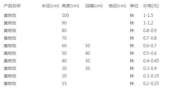 黄刺玫