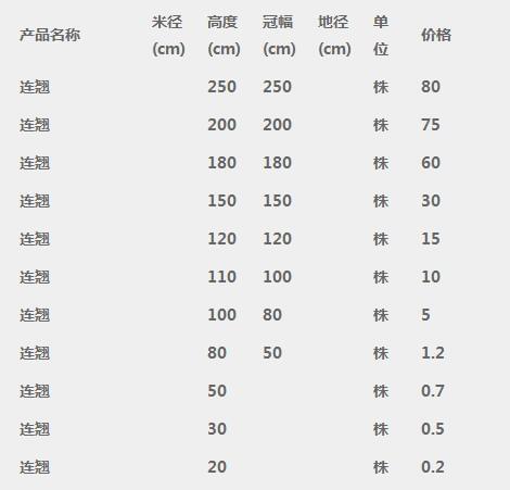 连翘树苗价格表