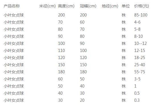 小叶女贞球价格表