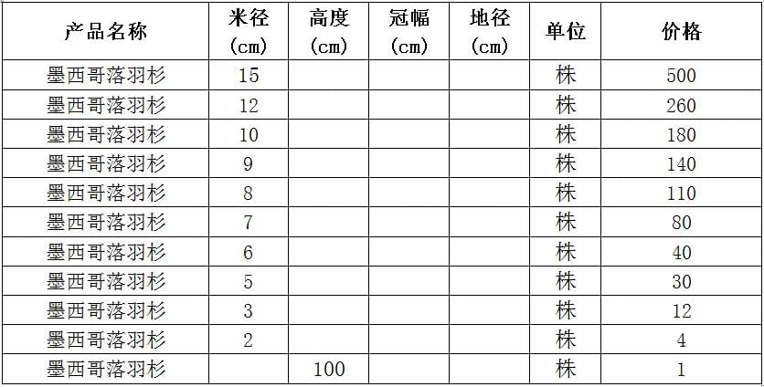 墨西哥落羽杉价格表