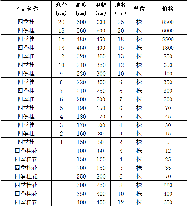 四季桂 四季桂花价格表