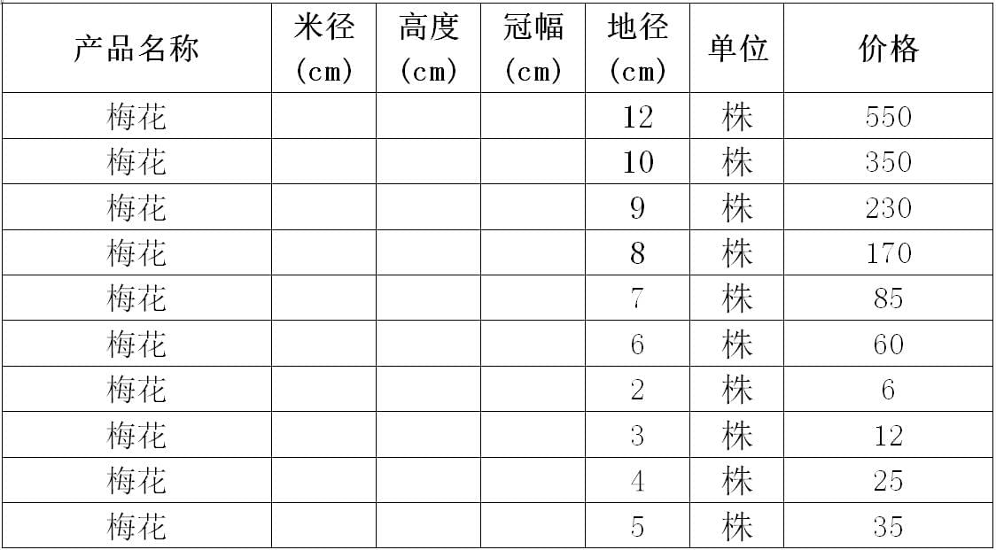 梅花价格表
