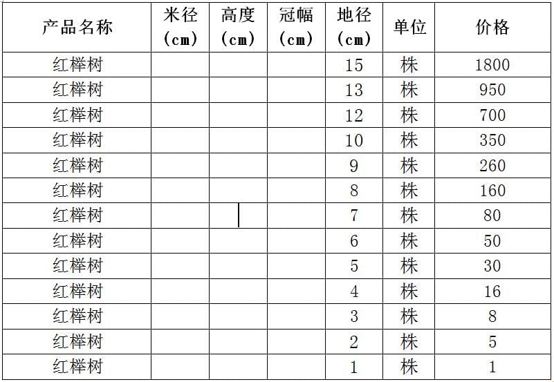 红榉树价格表