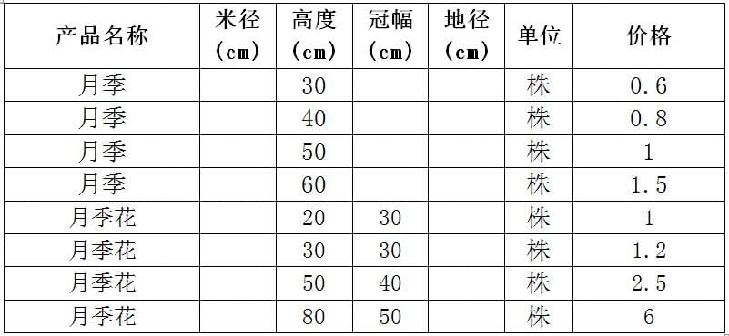 月季，月季花价格表