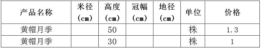 黄帽月季价格表