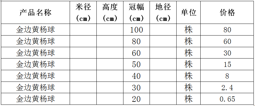 金边黄杨球价格表