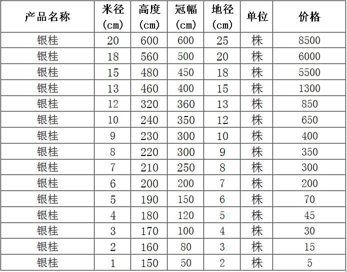 银桂价格表