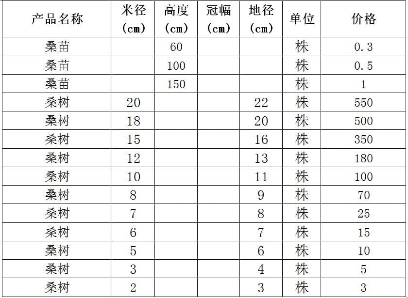 桑树苗价格表