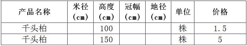 千头柏价格表 千头柏价格表