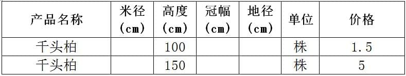 千头柏价格表