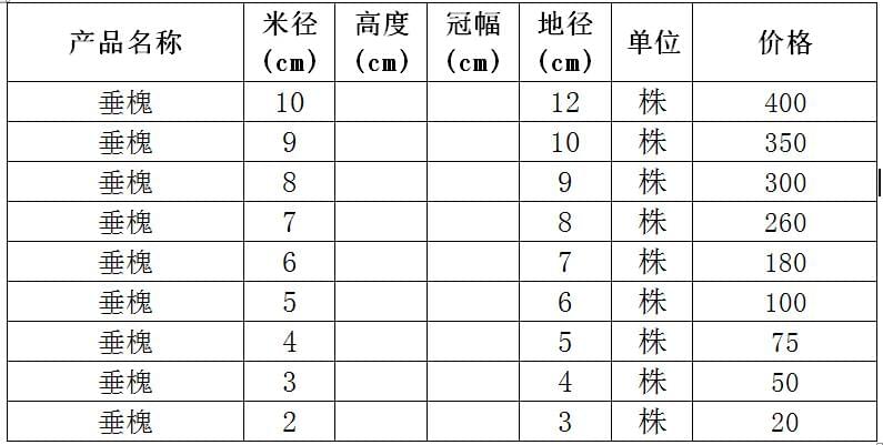 垂槐价格表