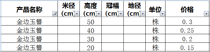 金边玉簪价格