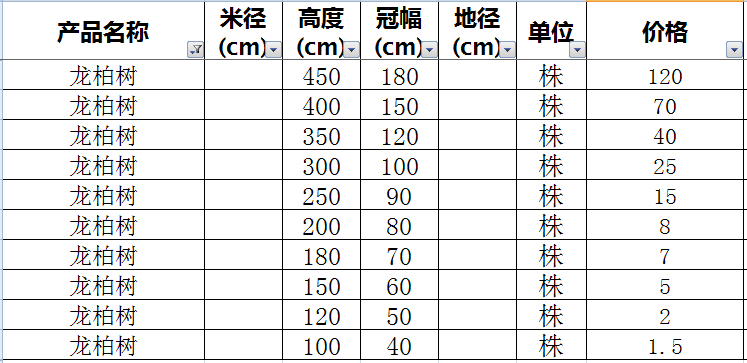 龙柏树价格表