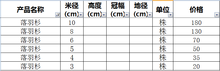 落羽杉价格