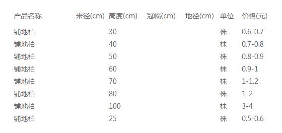 铺地柏价格表