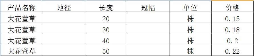 大花萱草价格