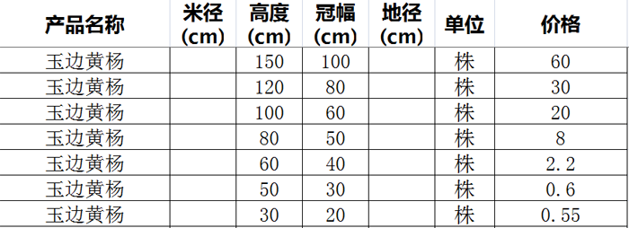 玉边黄杨价格表