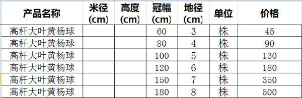 高杆大叶黄杨球价格表